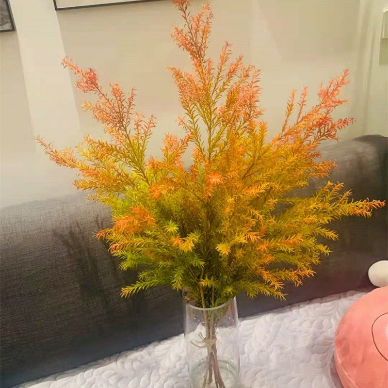 グラデーションカラーの千層金柳、葉と花、切り花用茎、室内水耕栽培、雲南省から直送
