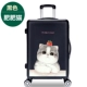 Hộp mật khẩu hoạt hình vali nam xe đẩy trường hợp nữ dễ thương 24 inch du lịch phiên bản Hàn Quốc của bánh xe nhỏ sinh viên đại học tươi
