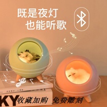 Little cat night light Bedroom bedside Cute girl Day gift Rechargeable table lamp Bluetooth sound Pet house speaker