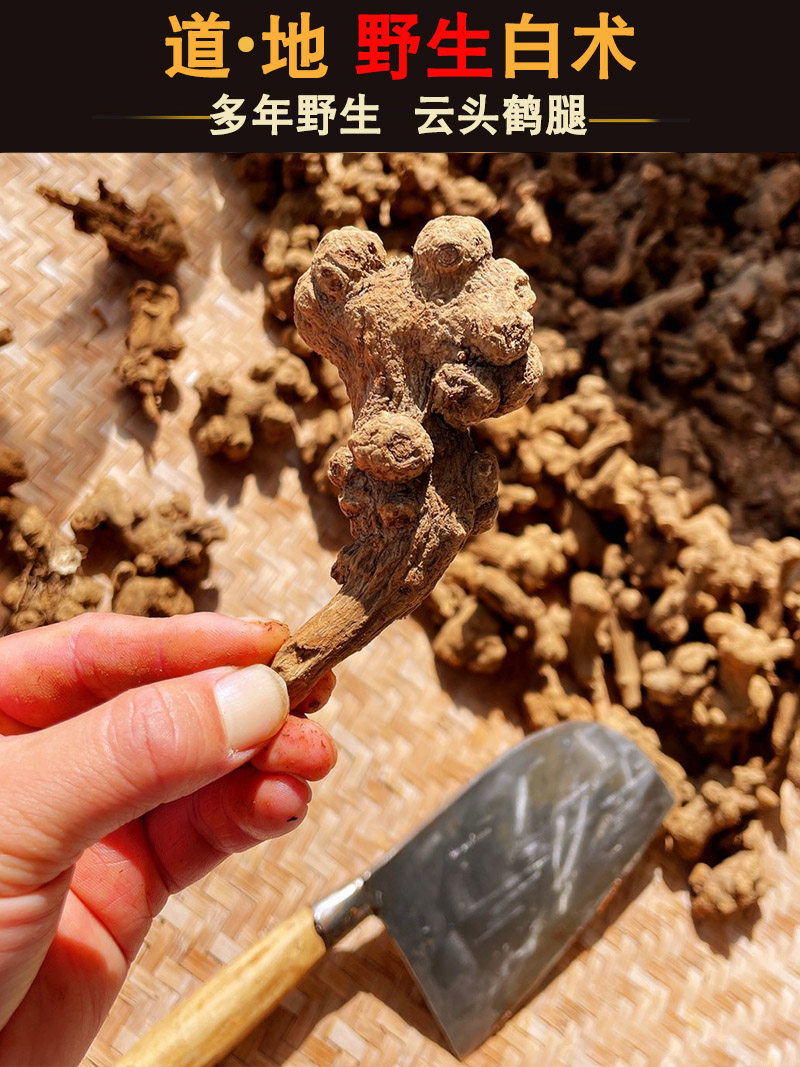 Bai Zhu Slices (Atractylodes macrocephala) — Sulfur-Free Bran-Fried Food Herb, 500g specifications