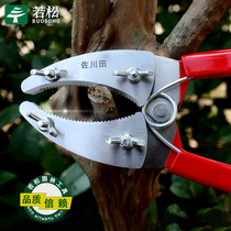Ring cutting scissors ring cutter circular scissors grape girdling shears ring cutting tree tree ring cutter gardening scissors
