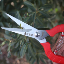 (Day specials) Grape pruning scissors gardening fruit bud scissors citrus fruit fruit cutting