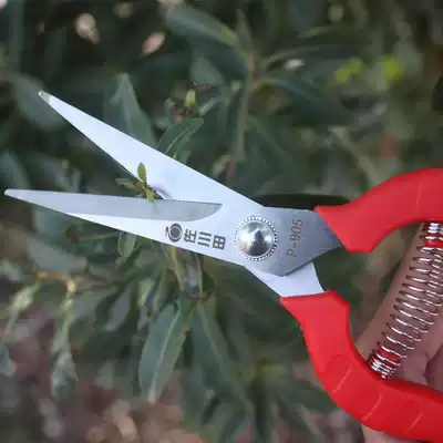 (Day specials) Grape pruning scissors gardening fruit bud scissors citrus fruit fruit cutting