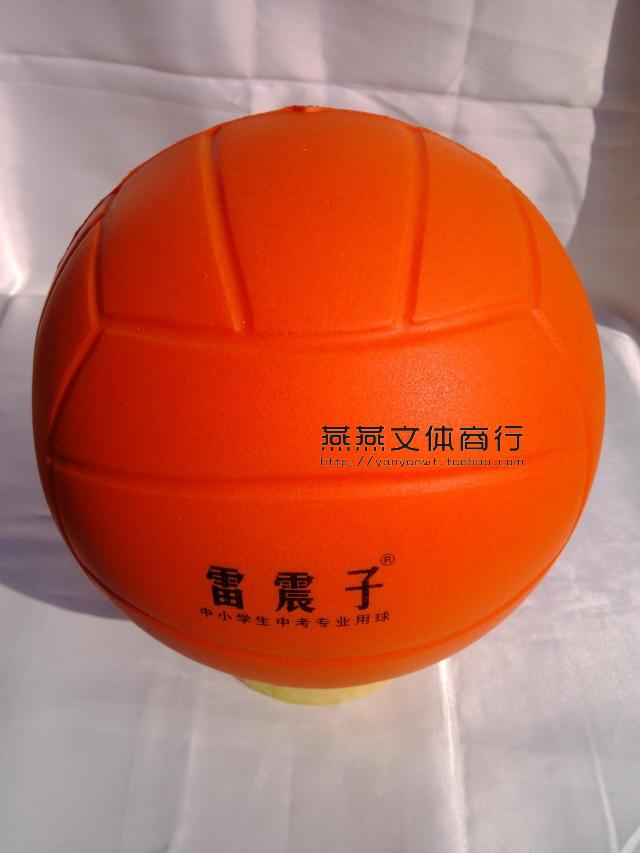 Ballon de volley - Ref 2011200 Image 3