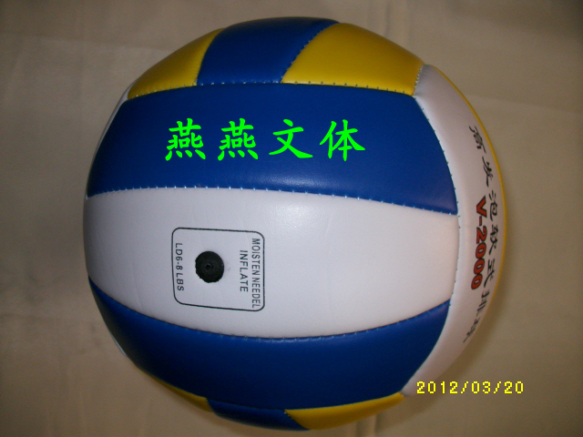Ballon de volley - Ref 2010377 Image 4