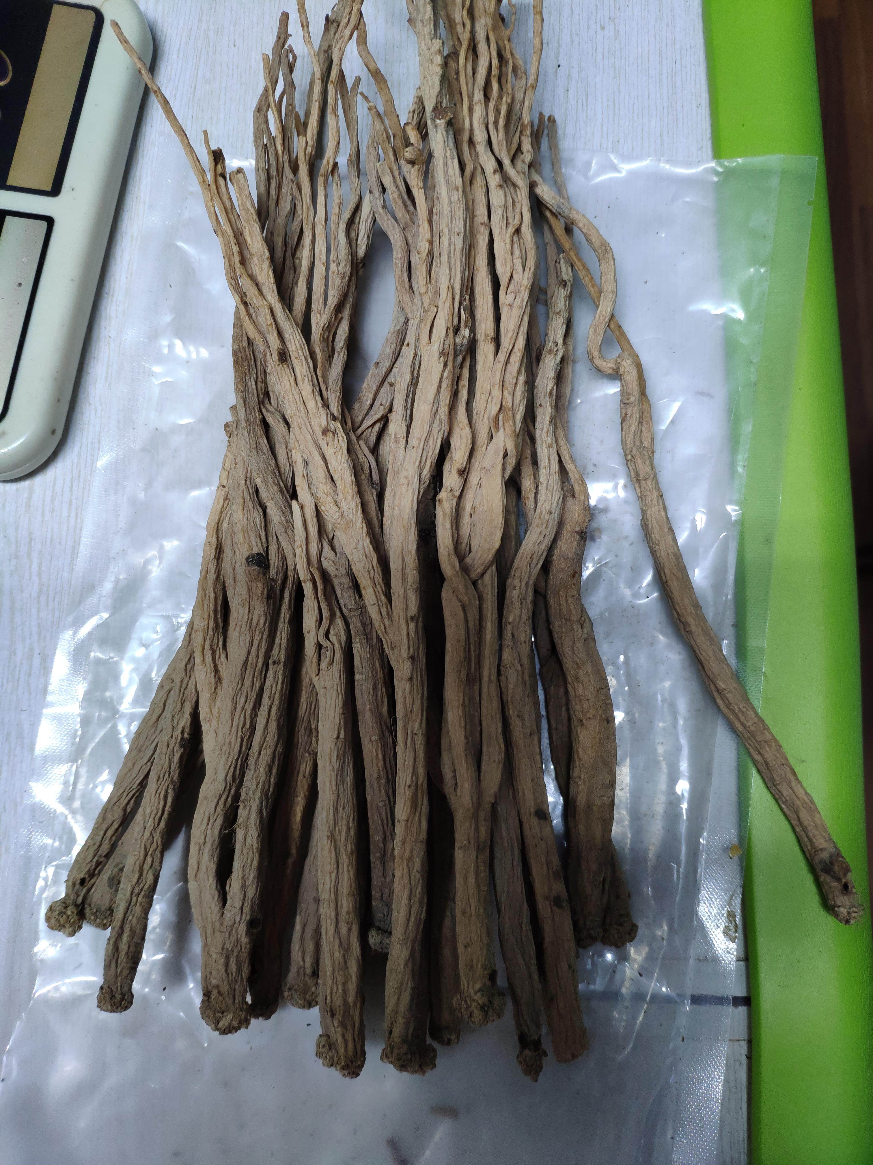 Native of the earth,