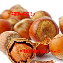 Northeast Kang Fruit Hazelnut 2022 new bag with 500g shot two pounds sending pliers non - American Zhen