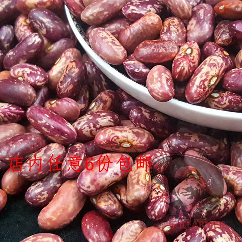 Northeast big rice kidney bean purple flat cauliflower four seasons rice cloud bean can sprout 1 catty cooking ballast porridge companion