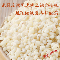 6A white sorghum rice 5 pounds of northeast flag new black grain grain to peel elderly children need to be prepared