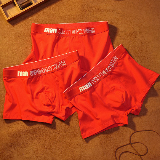 Japanese Men's Red Cotton Antibacterial Mid-Waist Lettered Simple Sports Boxer Briefs for the Year of the Zodiac