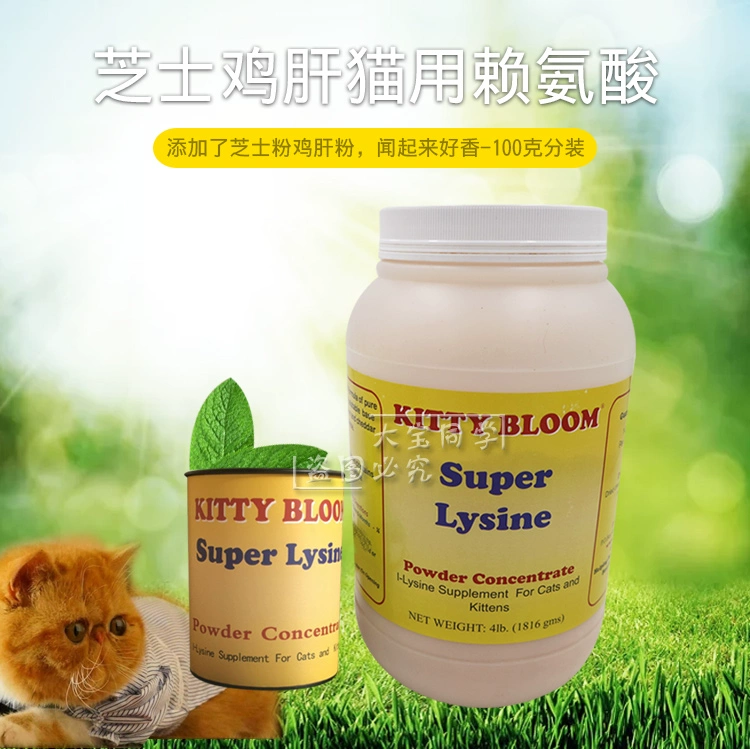 Phát hiện mèo Dabao cùng lớp với mèo nở mèo với lysine super Lysine gói 100 g - Cat / Dog Health bổ sung