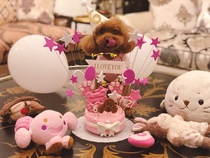 BarkBox Pet Cake Birthday Dog Pet Birthday Cake Homemade Cat Birthday Cake for Cat