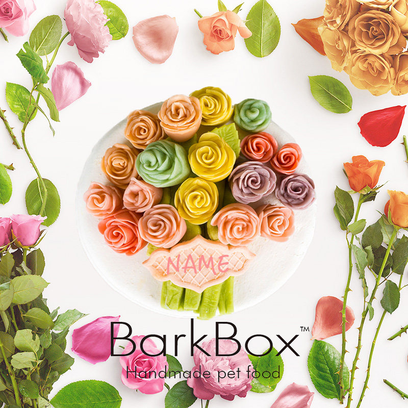 Barkbox Pooch Birthday Cake Kitty Birthday Cake Pet Birthday Cake Custom Pet Cake