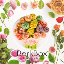 Barkbox Dog Birthday Cake Cat Birthday Cake Pet Birthday Cake Custom Pet Cake