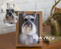 BarkBox pet simulation manual simulation photo frame