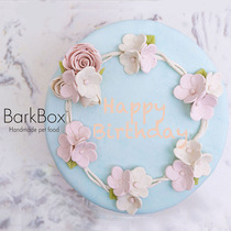 Barkbox pet cake cat birthday cake dog birthday cake custom creative pet cake