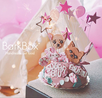 Dog Birthday Cake Cat Birthday Cake Pet Birthday Cake Teddy Corgi Golden Retriever