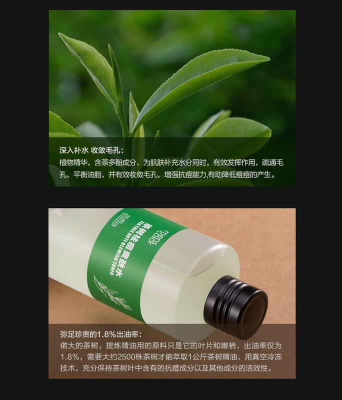 Van Gogh Tea Tree Essential Oil Acne Men Toner Desalination Acne Seal Oil Control Chăm sóc da mặt Chăm sóc da sửa rửa mặt nam