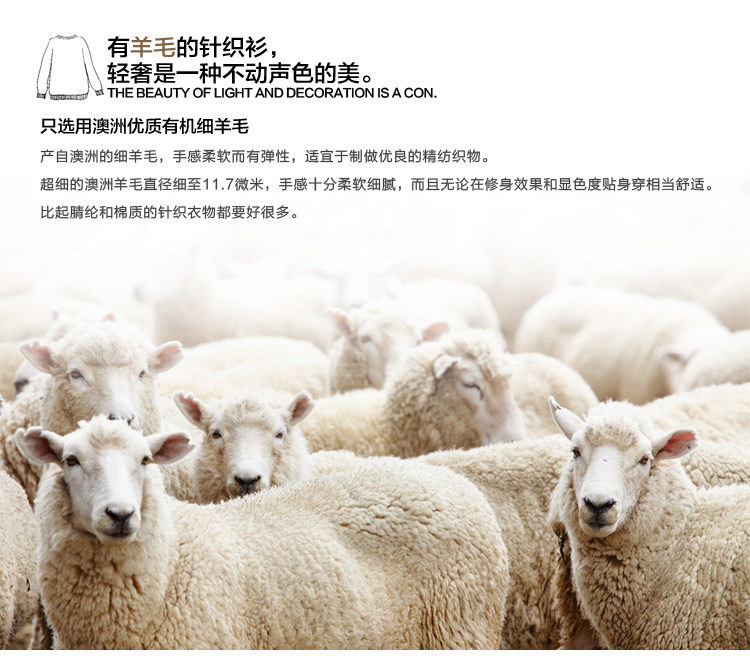  羊毛成分通用版-修改 (1)