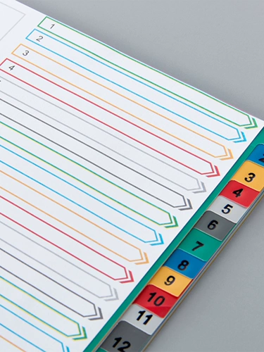 Цвет страница пластик 31 Color Club 31 Class Class Class Card Card Plastic Index Card 11 отверстия бумага бумага