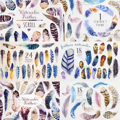 Collection of beautiful hand-painted watercolor wind color feather bird card background pattern PNG buckle free design material