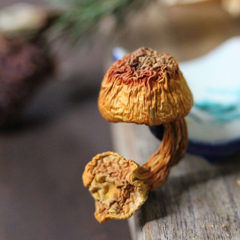 Kyi Pingyu 125 g Yunnan Dry goods Brazilian mushroom cooking chicken stew soup old hot soup