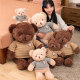 ແທ້ຈິງແລ້ວ Teddy Bear Doll Little Bear Rag Doll Plush Toy ຂອງຂັວນວັນແຫ່ງຄວາມຮັກສໍາລັບແຟນແລະວັນເກີດຂອງເດັກນ້ອຍ