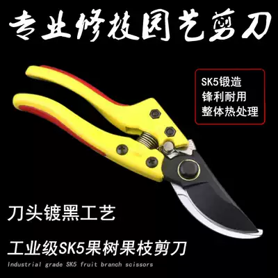 Branches and flowers and seedlings bonsai household Flower Branch scissors Fruit tree pruning shears Orchard horticultural scissors SK5 fruit branch shears