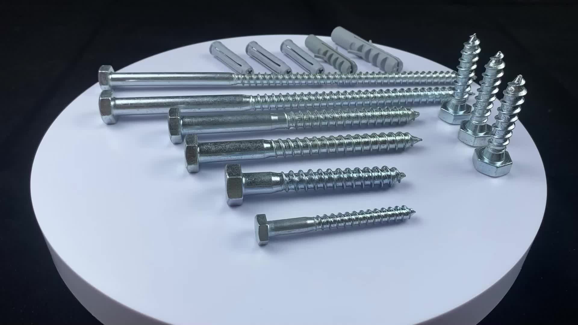 Hexagon Head Wood Screws M6m12 Zinc Plated Screws Din571 Screw