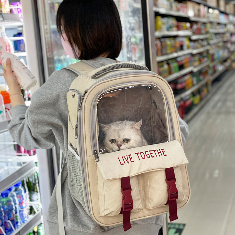 Cat Bag Out of Portable Breathable Kitty KITTENS BAG CAT DOG SUPPLIES DOUBLE SHOULDER SPACE CAT SCHOOL BAG SUMMER PET BAG CARRY