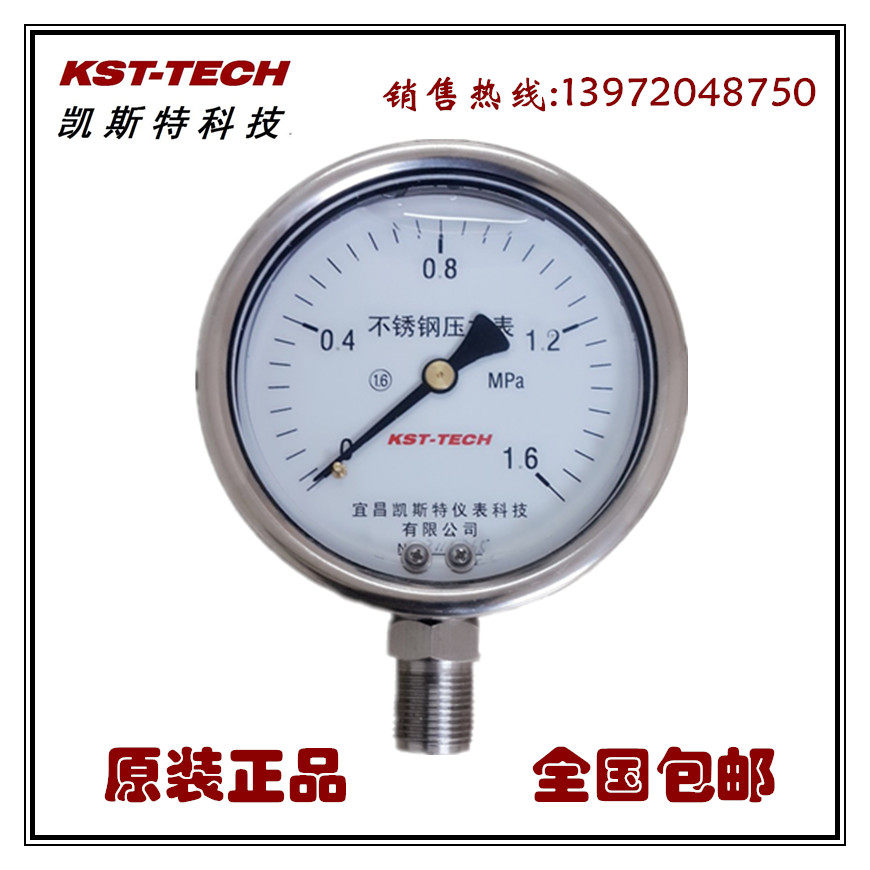 Supply of stainless steel resistant pressure meter YNF100 manufacturer direct sales quality assurance
