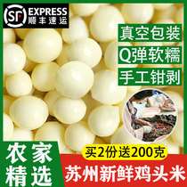 Suzhou specie производство свежей курицы рис 2023 Extra marge grain Grain Гордон Euryale Instant Chicken Rice Head Sugordon Eurygordon 400g