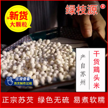 2023 New Suzhou Specialty Chicken Head Miso Gorgon Dried Goods Taihu White Gorgon Real Rice Granules 500g