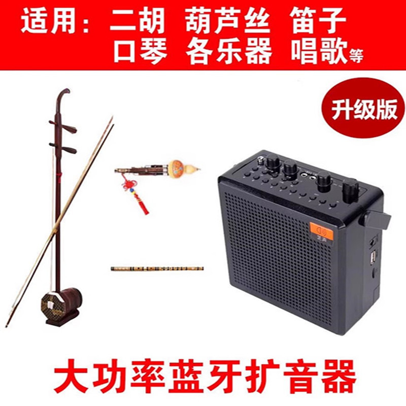 Zhisheng E399 Wireless Bluetooth Amplifier for Erhu, Flute, Huqin, Electric Tube, High-Power Square Dance Karaoke Speaker