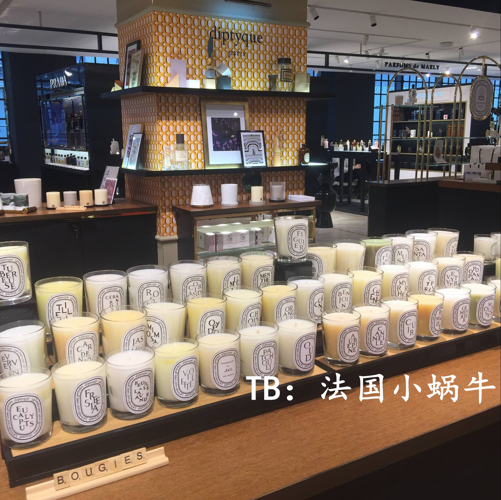 Spot French counter diptyque scented candle berry amber rose fig tuberose 70g