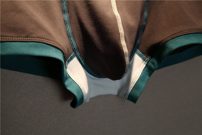 Quần lót cotton nam thoáng khí mùa hè eo thấp gợi cảm boxer trẻ trung màu rắn U lồi đơn giản bó sát các loại quần lót nam