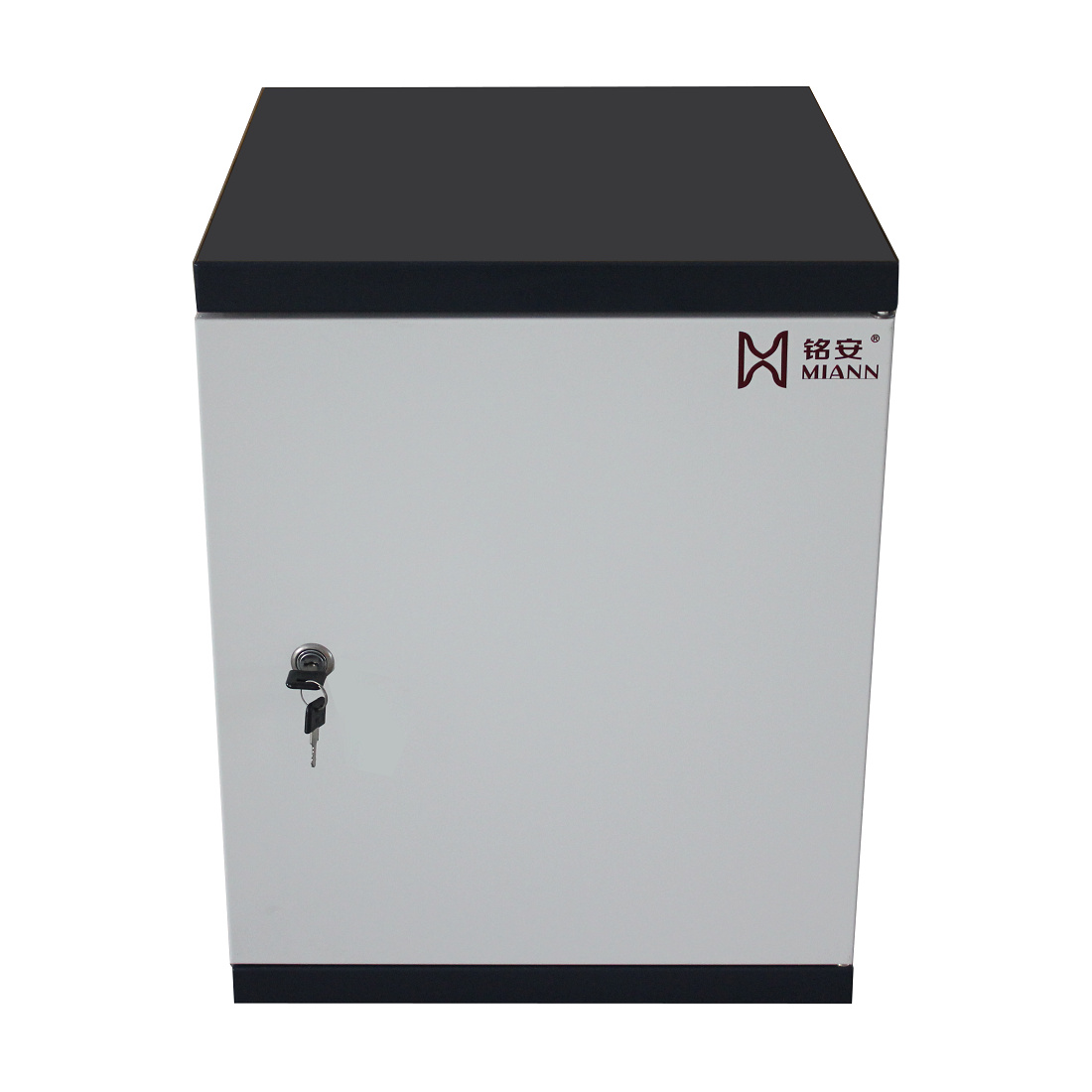 Manufacturer Ming'an anti-magnetic cabinet DMC500 2 drawers small disc anti-magnetic cabinet tape cabinet