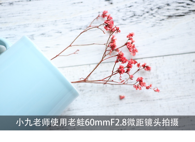 Laowa / ếch già 60mm f2.8 ống kính macro kép đơn micro đảo ngược sản phẩm duy nhất chụp ảnh côn trùng tập trung cố định