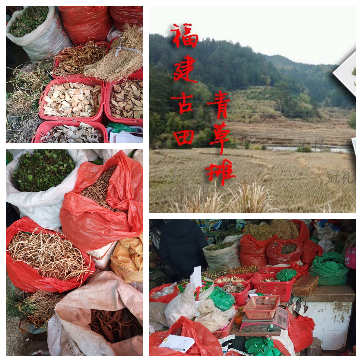 古田县特产店农品小铺