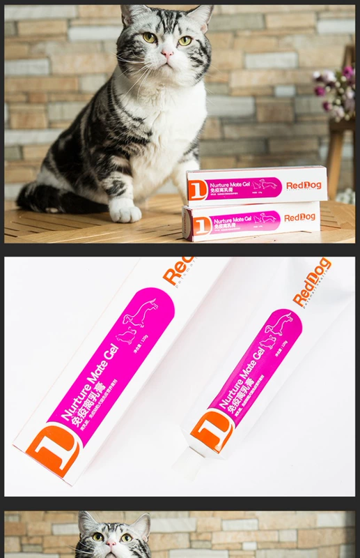 RedDog Red Dog Cream Cream Cat Weaning Bổ sung Kem dinh dưỡng Dog Cat Bổ sung nhanh dinh dưỡng Kem sữa mèo 120g - Cat / Dog Health bổ sung