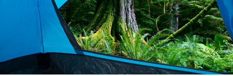Automatic Tent Outdoor Double Double 3-4 Multi-Person Windproof and Rainstorm-proof Camping Tent Free Shipping