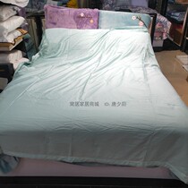 Dream Day Silk Cotton Pure Silk Summer Quilt-Nordic Love 2021 New pint Summer cool by Four Seasons Air conditioning by Core 00116