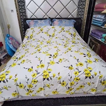 MINE SPRING DAWN 100% mulberry silk quilted by air conditioning Summer quilted by official network Shu Johoness Quilt Summer Thin by Core