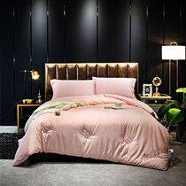 Yi Luo home textile soy protein antibacterial quilt contains 51%warm close-fitting thickened winter quilt core single double four-season quilt