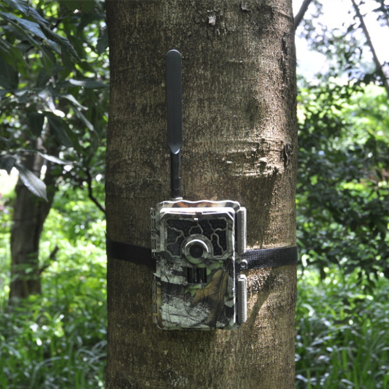 Thousand Miles Shooting 4G Internet of Things SY-999M Wireless Infrared Night Vision Automatic Monitor Infrared Triggered Camera GPS