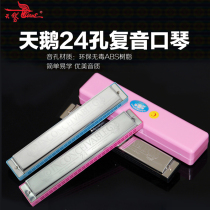 Swan 24-hole polyphonic harmonica C tune beginner introductory student teaching promotion adult playing instruments