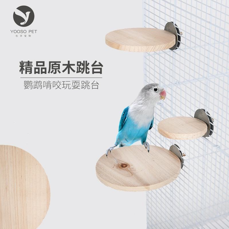 Bird đồ chơi cung cấp nền tảng chim lò xo nền tảng vẹt đồ chơi nibble đồ chơi mài miệng hamster chinchilla nền tảng sóc - Chim & Chăm sóc chim Supplies