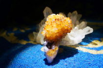 (Back to that era No 886) Rich Citrine Cluster Old Mine