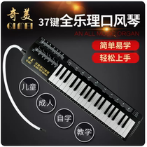 Chimei 37 - key Oran children beginner girl students use teaching special tube instruments