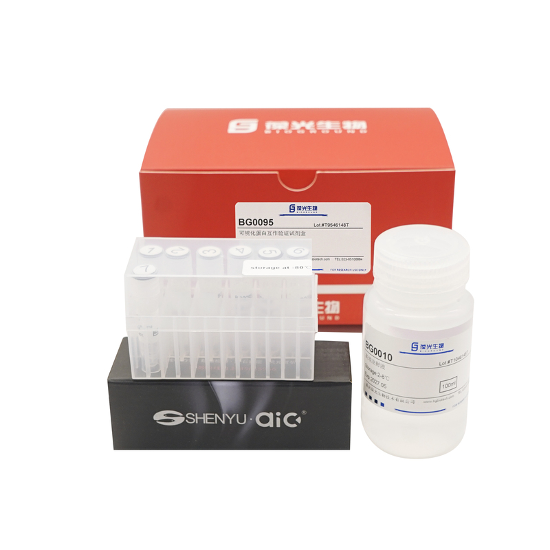 Protein Interaction Assay Kit (Gal4-Vp16-Uas-Ruby System) Bg0095 Protein Interaction Assay Kit (Gal4-Vp16-Uas-Ruby System) Bg0095